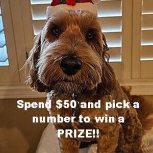 GAME RULES FOR FREE PRIZE